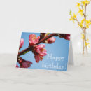 Search for cherry blossom birthday cards Photography