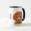 Search for toy poodle mugs Pets