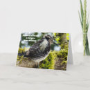 Search for bird lover birthday cards Nature