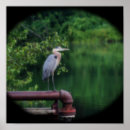 Search for posing art Animal