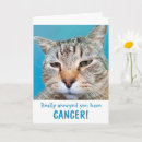 Search for for cancer patients get well cards Support