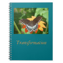 Search for transformers Inspiration