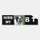 Search for t bumper stickers Dog