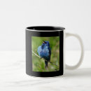 Search for indigo bunting mugs Nature