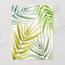 Search for tropical greenery postcards Palm leaves