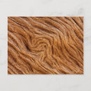 Search for jekyll postcards Driftwood