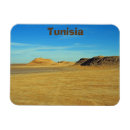 Search for salt rectangular magnets Desert