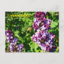 Search for flying bee postcards Garden