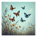 Search for colorful butterflies posters Vintage