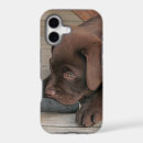 Search for chocolate lab iphone cases Labrador