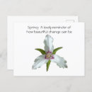 Search for spring wildflowers postcards Botanical