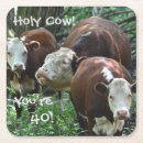 Search for funny cow coasters Humour