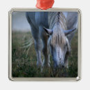 Search for selective focus christmas tree decorations Photography