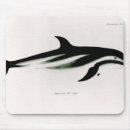 Search for private collection electronics 19th