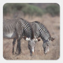 Search for outdoor lifestyle stickers Outdoors