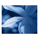 Search for cool plants posters Floral