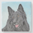 Search for belgian coasters Dog