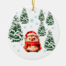 Search for hedgehog christmas tree decorations Winter