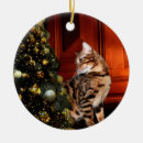 Search for bengal cat christmas tree decorations Pet