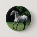Search for appaloosas badges Equestrian