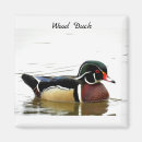 Search for birdwatching magnets Birds