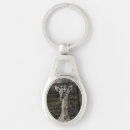 Search for giraffe pictures key rings Wild animals