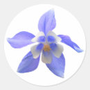 Search for columbine flower stickers Nature