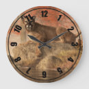 Search for mountain lion clocks Catamount
