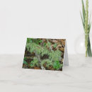 Search for bearded cards Nature