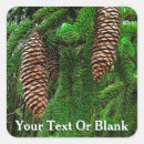 Search for conifer stickers Nature