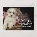Search for black dog christmas cards Pets