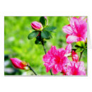 Search for azalea Floral