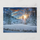 Search for christmas magic postcards Blue