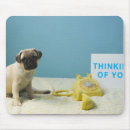 Search for separated mousepads Loneliness