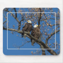 Search for pair mousepads Tree