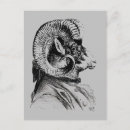 Search for bighorn Animals