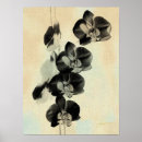 Search for orchids posters Botanical