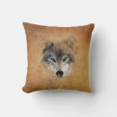 Search for gray wolf Grey