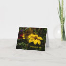 Search for yellow flower cards Photography