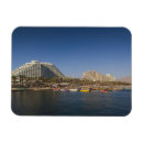Search for eilat Desert