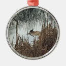 Search for turtle christmas tree decorations Nature