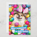 Search for lay invitations Easter