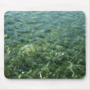Search for sea grass electronics Nature