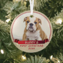 Search for ribbon christmas tree decorations Dog