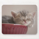 Search for tires mousepads Photography