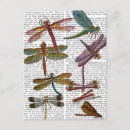 Search for dragonfly postcards Flower leaves