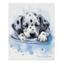 Search for dalmatian puppy posters Watercolor