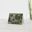 Search for great blue heron cards Bird