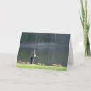 Search for fish pond cards Water
