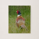 Search for pheasant puzzles Bird